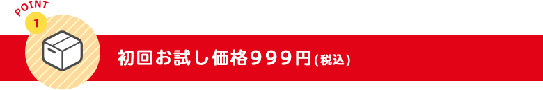 初回お試し価格999円(税込)