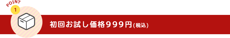 初回お試し価格999円(税込)